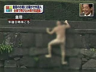 Naked Tourist Swims in Tokyo Imperial Palace Moat