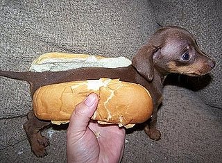 Now That's What I Call Lunchables!
