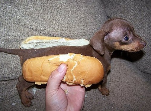 Now That's What I Call Lunchables!