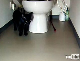 Happy Caturday!
