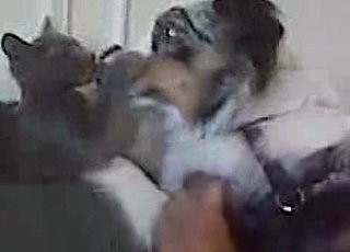 Interspecies Lovin'