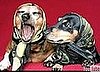 The Dachshund Song