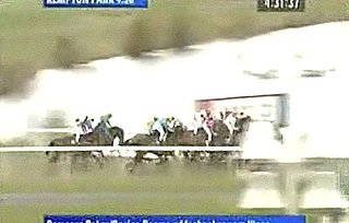 Worst Horse Race Announcer Ever