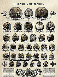Product of the Day: The Hierarchy of Beards Poster