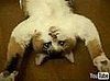 Happy Caturday!