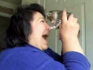 Crazy Cat Lady
