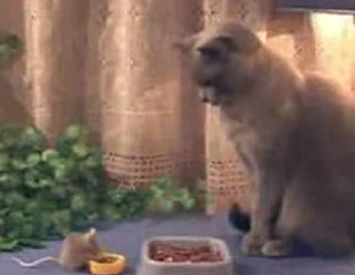 Cat and Mouse Do Dinner 