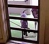 Doggie Doorman