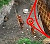 Digitally Enhanced Photo of Orange Tribe People