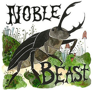 Review of Andrew Bird's Noble Beast
