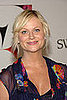 Amy Poehler Could Join New NBC Show from The Office Team