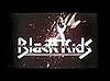 Music Video: Black Kids, "Look at Me (When I Rock Wichoo)"