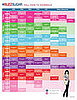 Printable Fall 2008 TV Calendar