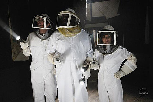 Pushing Daisies Recap: Season Two, Episode One, "Bzzzzzzzzz"