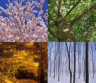 What's Your Favorite Season for Entertainment? 