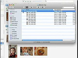 Google Introduces Picasa For Mac 