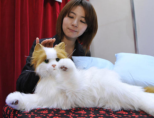 Sega Robot Kitty: Almost Like a Real One, Just Not Alive