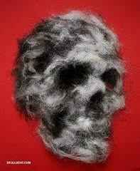 Skull-A-Day Features a Different Skull Every Day