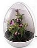 USB Greenhouse: Love It or Leave It?