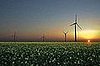 Daily Tech: The Future of Cleantech In the US