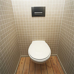 Website of the Day: The Bathroom Diaries 