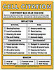 Cell Citation Notepad Makes You an Officer of Cell Phone Law 