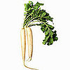 Daikon