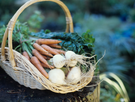 Local, Organic and Sustainable Local, Organic and Sustainable