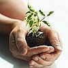 Take an Earth Day Quiz