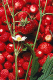 Spring Strawberry Pie Spring Strawberry Pie