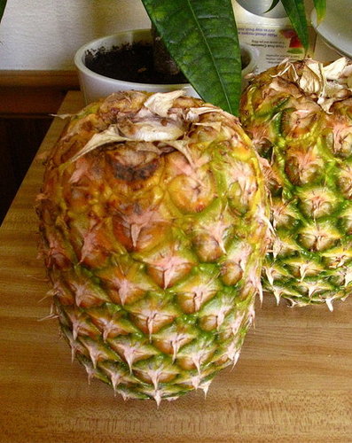 Simple Tip: Store Your Pineapples Upside Down