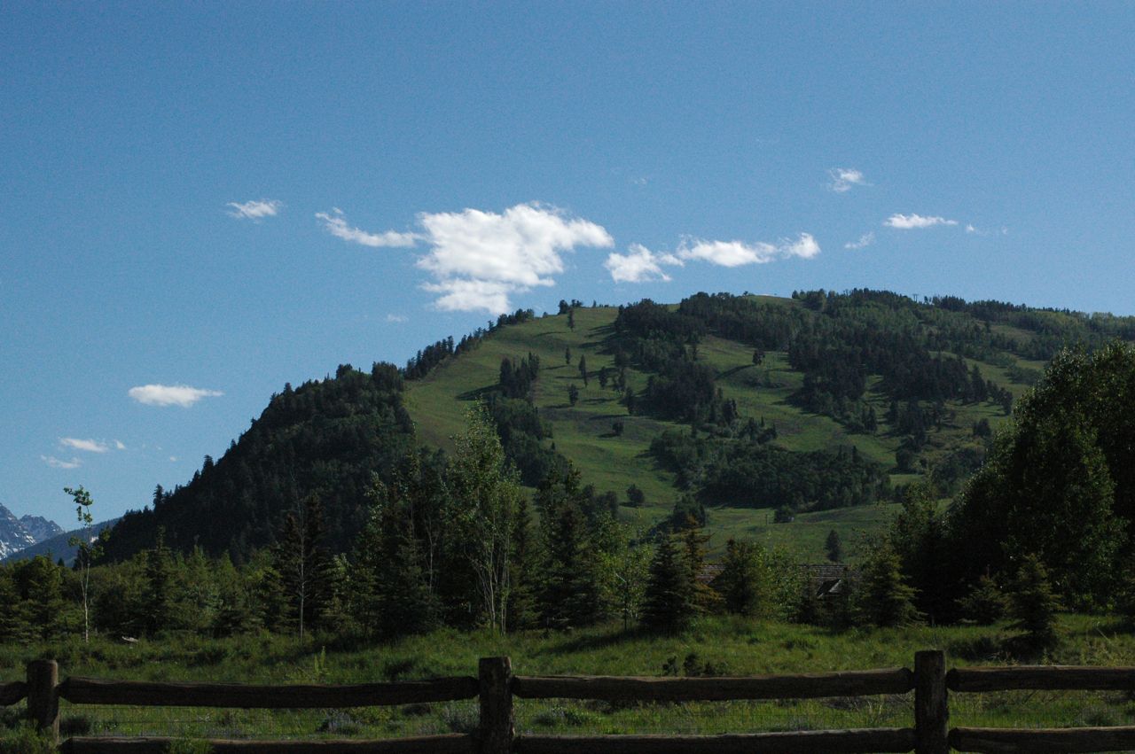 Later in the afternoon, we saw this same pasture filled with elk. Later in the afternoon, we saw this same pasture filled with elk.