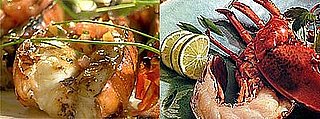 Grilled Lobster Two Ways — Beginner and Expert