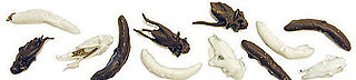 Would You Eat These Chocolate Covered Insects?