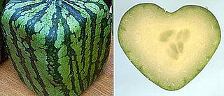 Love It or Hate It: Fruit Molds
