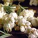 Popcorn With Rosemary Infused Oil