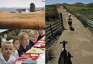 Should Obama Make Dept. of Agriculture the Dept. of Food? 