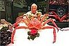 Would You Eat This Giant Crab?