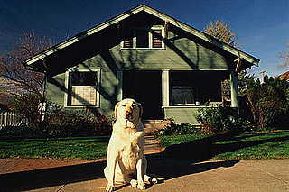 Weekly Petsugar Recap Quiz 2008-04-12 07:00:45