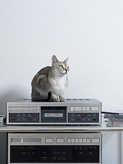 Music Soothing To Pets