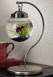 Hanging Aquarium from Opulent Items Hanging Aquarium from Opulent Items