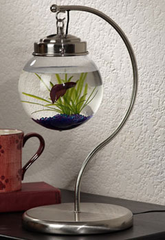 Hanging Aquarium from Opulent Items
