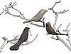 Catnip Birds to Entertain your Cat