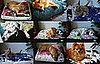 Kept Pets Hand Made Pet Pillows