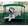 The Breezy Bed Keeps Pets off the Ground