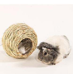 Roll a Nest ($3-$10)