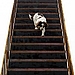 Obstacles