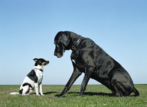 Size Matters Size Matters