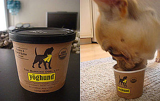Yöghund Frozen Yogurt For Dogs
