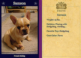 Samson Cute For Worldwide Fidos
